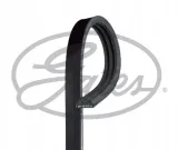 gates-3pk738-pasek-renault-clio-stan-nowy