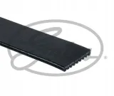 gates-9pk1705hd-pasek-producent-czesci-gates