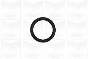 graf-pompa-wody-pa1023-producent-czesci-graf