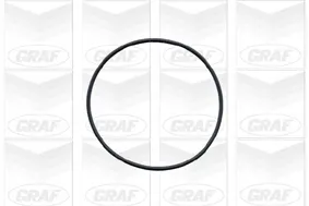 graf-pompa-wody-pa572-producent-czesci-graf