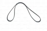 bosch-1987946134-pasek-ford-focus-stan-nowy