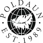 poldaun-poduszka-evolution-standard-70x80-biala-stan-nowy
