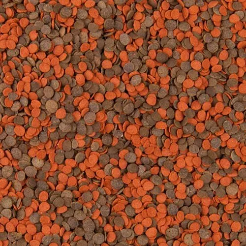 tropical-cichlid-chips-250ml-130g-stan-nowy
