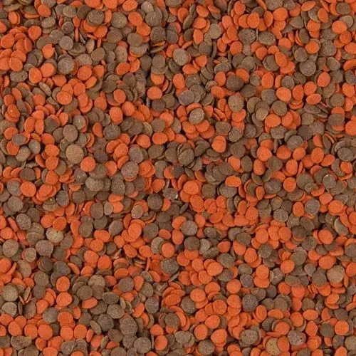 tropical-cichlid-chips-1000ml-520g-data-waznosci-przynajmniej-1-rok-od-momentu-zakupu