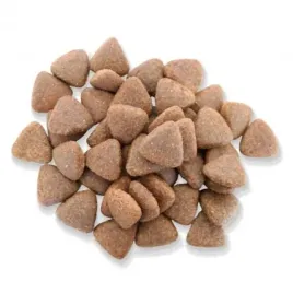 karma-fitmin-medium-maintenance-15-kg