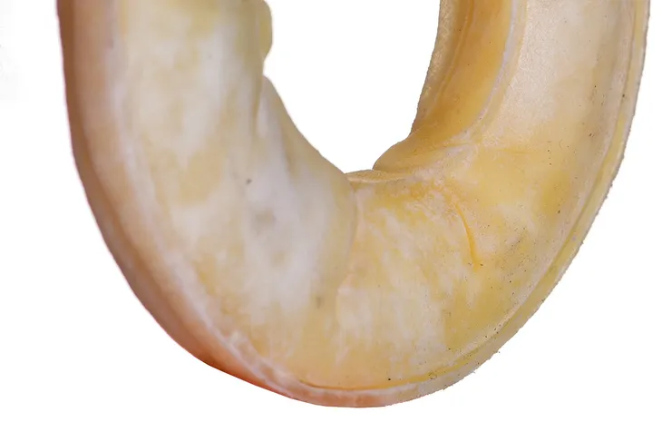 maced-ring-prasowany-bialy-7cm