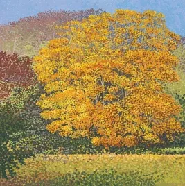 karnet-z-koperta-klon