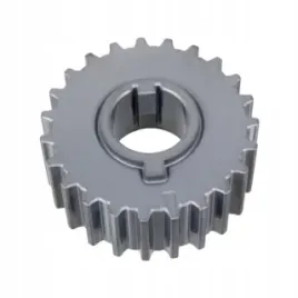 febi-kolo-walu-33695