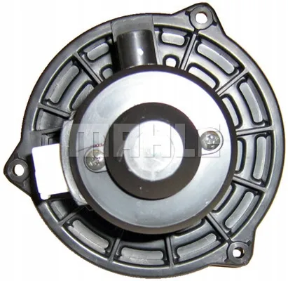 mahle-dmuchawa-abm5000p