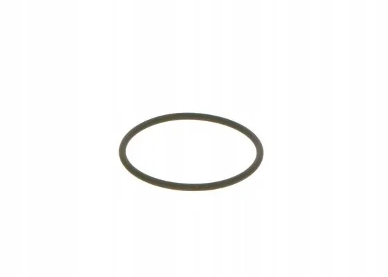 bosch-oring-3165144045847