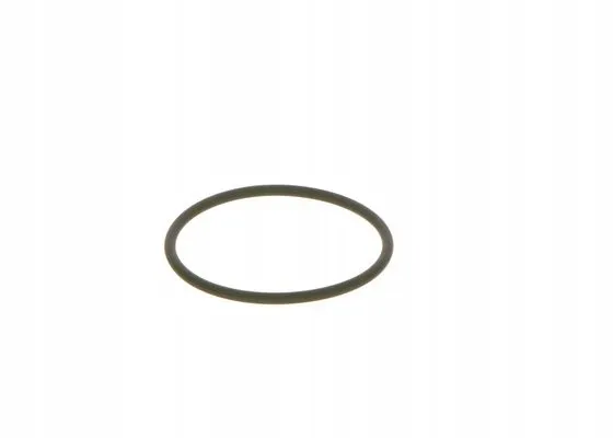 bosch-oring-3165144045847