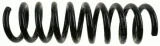 sachs-tyl-l-p-996609