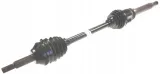 lobro-polos-prawa-pr-305404