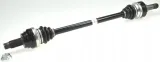 lobro-polos-prawa-pr-305997