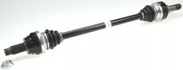 lobro-polos-prawa-pr-305997