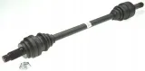 lobro-polos-napedowa-305984
