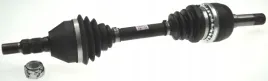 lobro-polos-306302