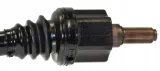 lobro-polos-le-304989-typ-silnika-benzyna