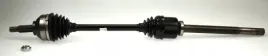 lobro-polos-prawa-pr-304781