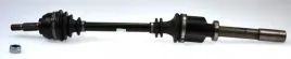 lobro-polos-prawa-pr-304714