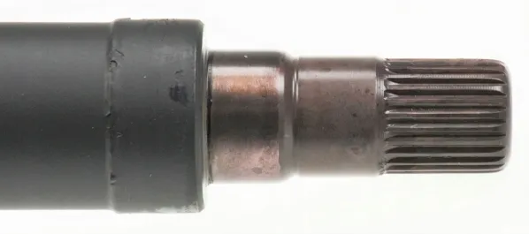 lobro-polos-prawa-pr-305514