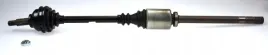 lobro-polos-prawa-pr-303496