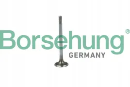 zawor-ss-vw-1-2tdi-1-4tdi-1-6tdi-12v-16v-borsehung-b19020