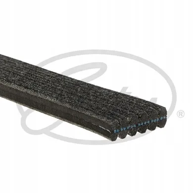 gates-6dpk1825-pasek-producent-czesci-gates