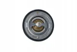 nrf-termostat-725111-stan-nowy