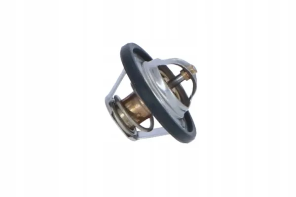 nrf-termostat-725064