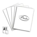 brystol-a1-bialy-250g-protos