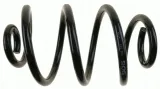 sachs-tyl-l-p-996931