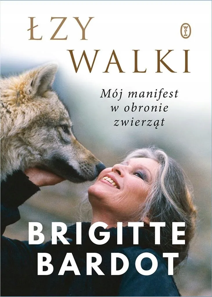 lzy-walki