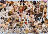 ravensburger-puzzle-2d-1000-elementow-psy-15633-waga-z-opakowaniem-0-84-kg
