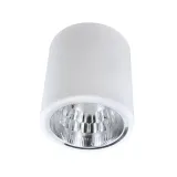 oprawa-downlight-natynkowa-jupiter-13-rodzaj-sufitowe-natynkowe