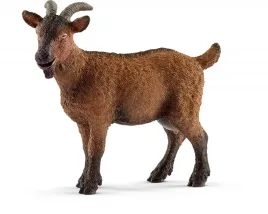 koza
