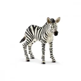 zebra-zrebie
