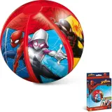 pilka-plazowa-spiderman
