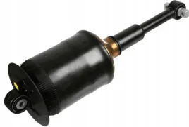 sachs-amortyzator-317325