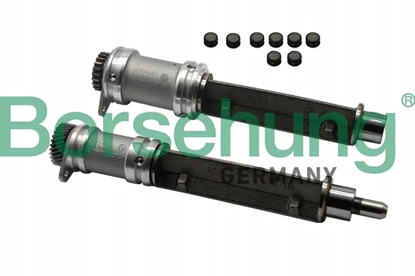 borsehung-b19132-walek-stan-nowy