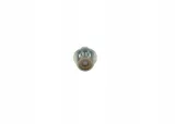 bosch-pompa-paliwa-2443357006-stan-nowy