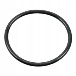 febi-o-ring-100165