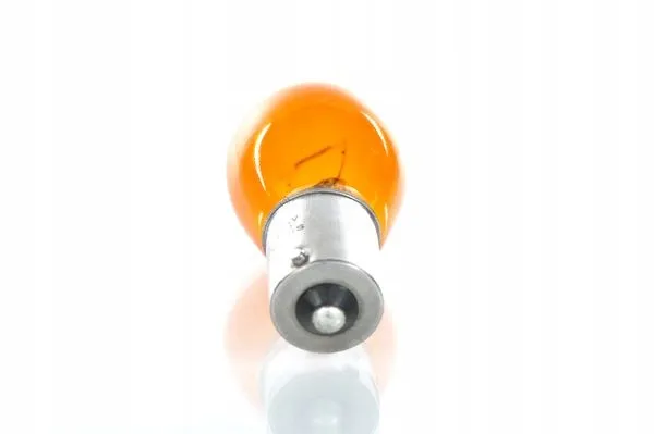 bosch-12v-light-1987302239