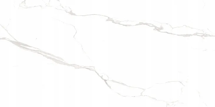 plytka-gres-alaska-white-poler-60x120-cm-stan-nowy