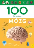 100-faktow-mozg