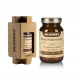 solherbs-kwas-hialuronowy-60kaps-postac-kapsulki