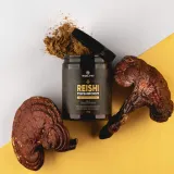 solvelabs-reishi-ganoderma-lucidum-10-1-50g-podstawowy-skladnik-inny