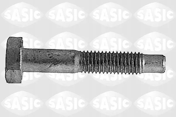 sasic-sruba-5223433-stan-nowy