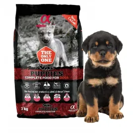 alpha-spirit-puppies-3kg-karma-miekka