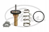 termostat-smart-fortwo-1-0-07-stan-nowy